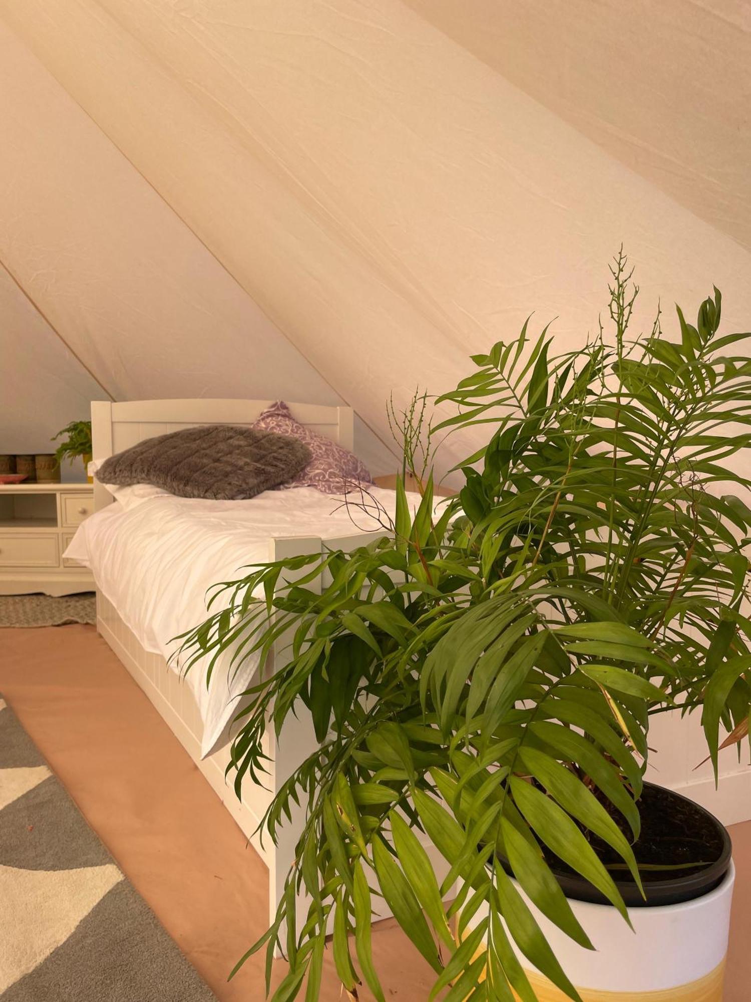 Trevena Cross Glamping & Camping 헬스턴 외부 사진