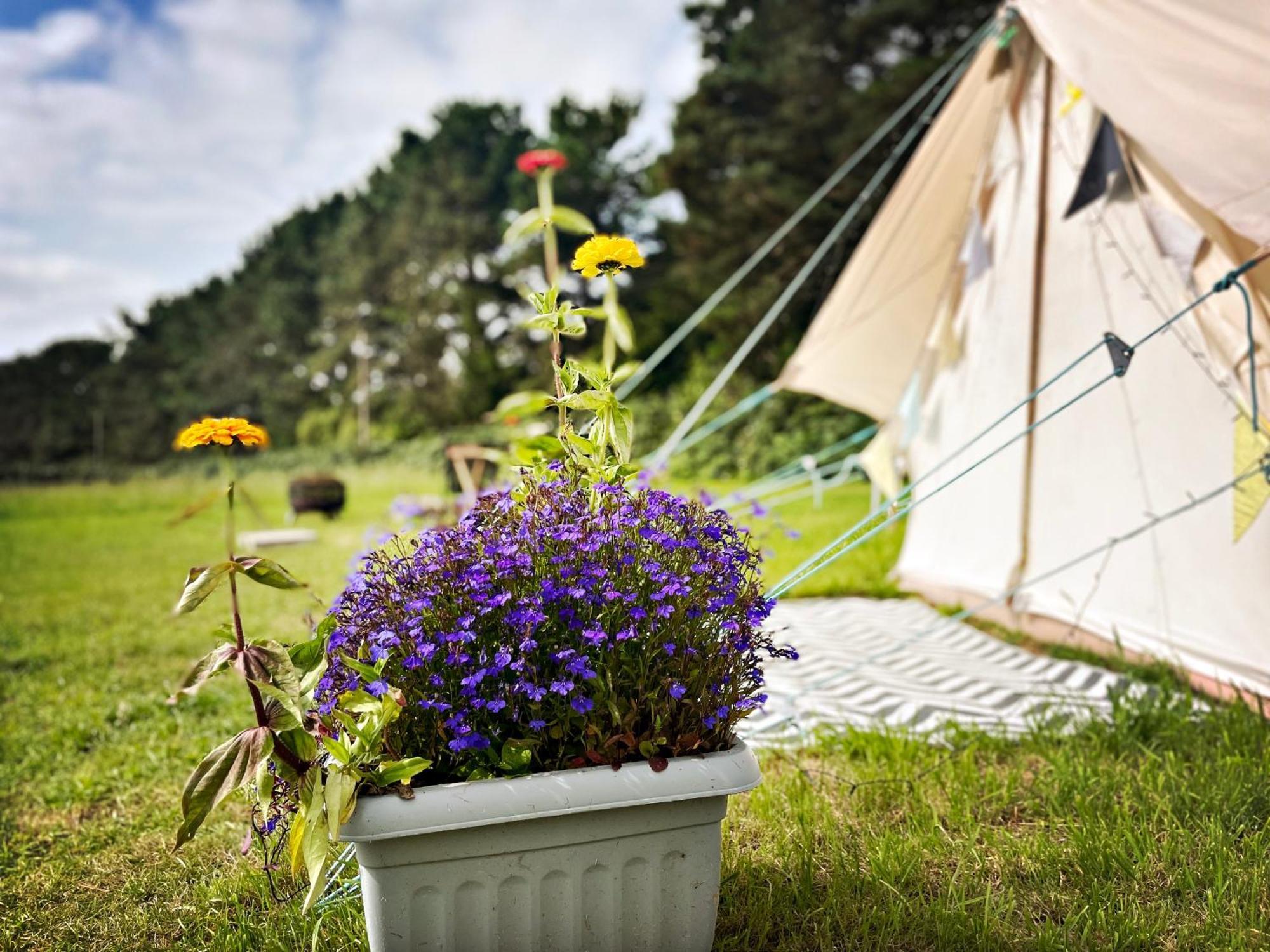 Trevena Cross Glamping & Camping 헬스턴 외부 사진